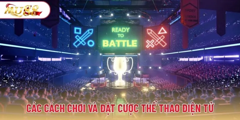 Các cách chơi và đặt cược thể thao điện tử