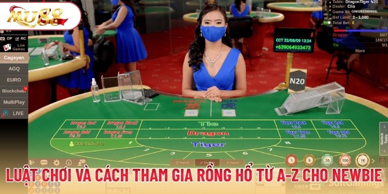 Luật chơi và cách tham gia rồng hổ từ A-Z cho newbie