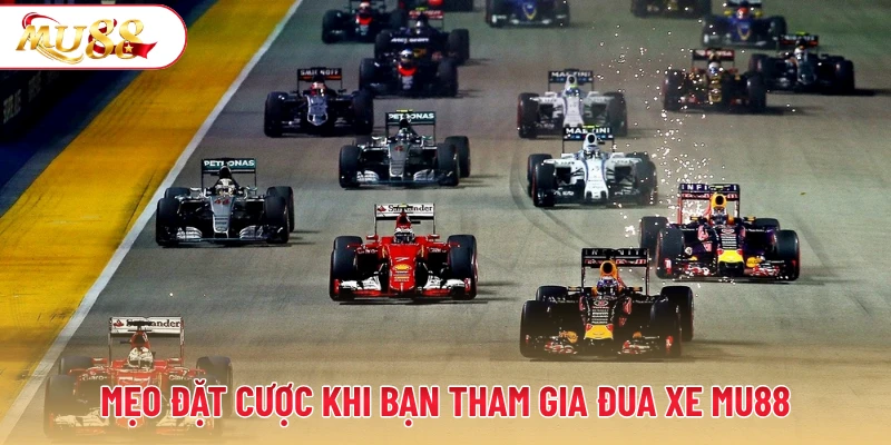 Mẹo đặt cược khi bạn tham gia đua xe MU88