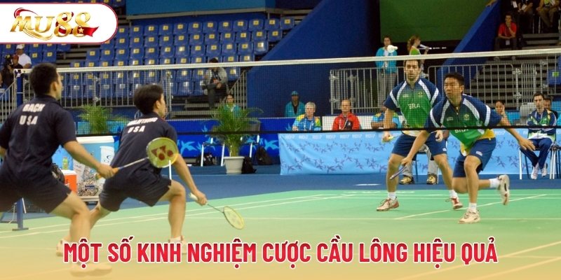 Một số kinh nghiệm cược cầu lông hiệu quả