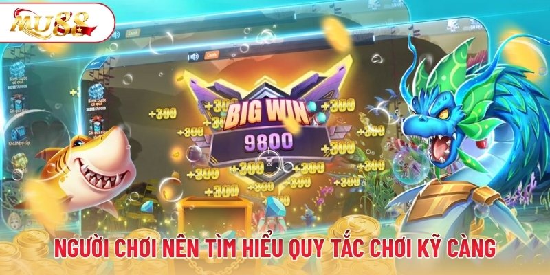 Người chơi nên tìm hiểu quy tắc chơi kỹ càng
