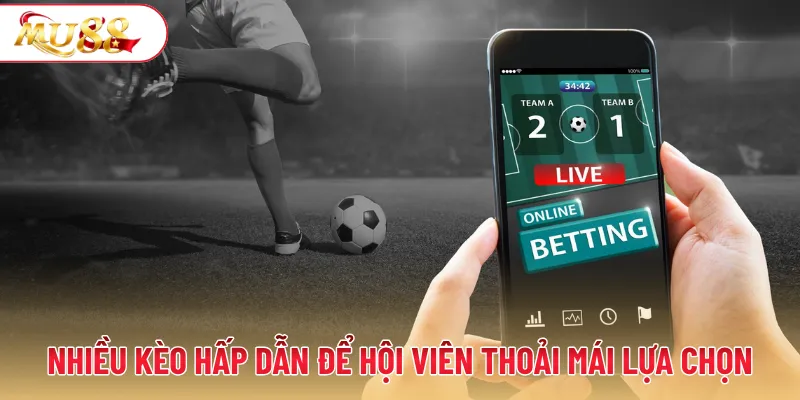 Nhiều kèo hấp dẫn đang được cập nhật để hội viên thoải mái lựa chọn